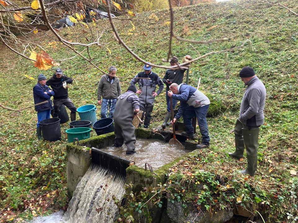 Carte de pêche Fades