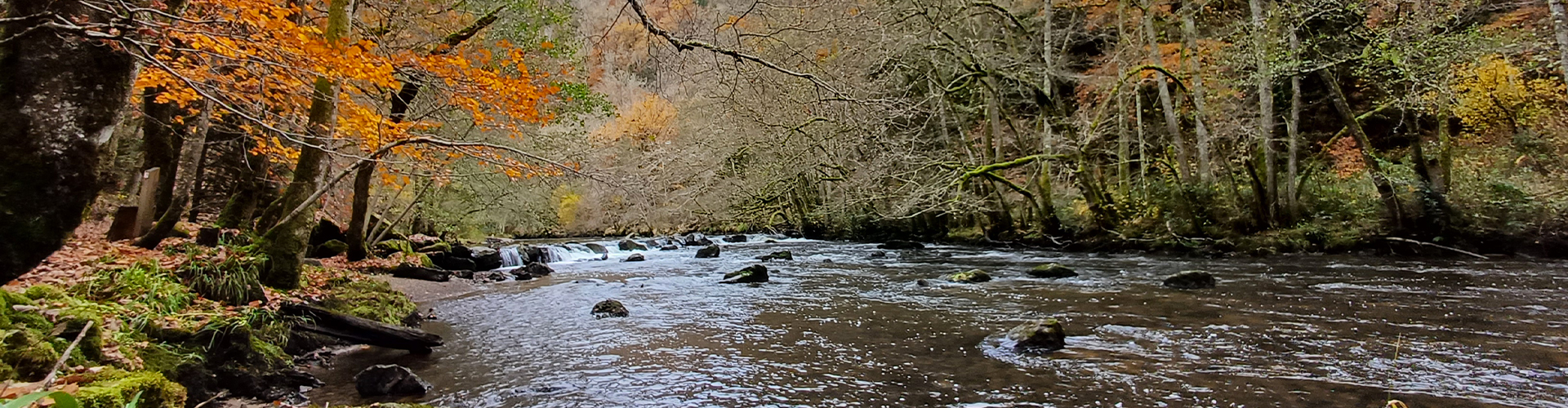 Slider documents Aappma